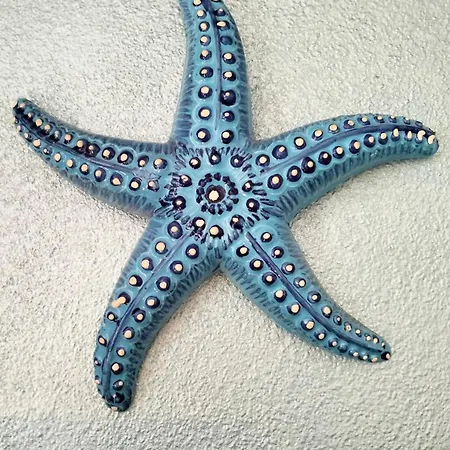 Lejlighed Stella Marina *